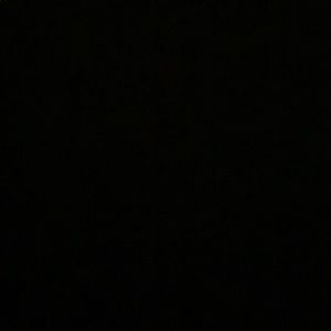 Meet your Posher, Callie